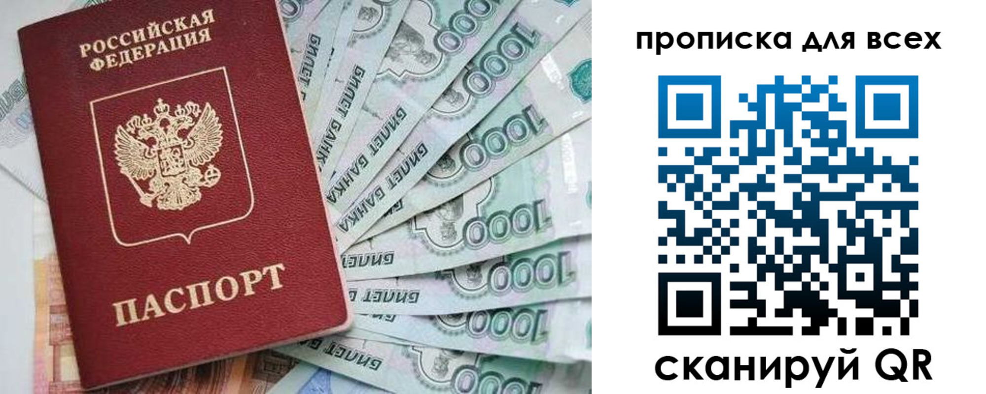 прописка гарантия в Звенигово